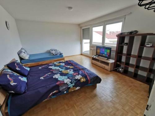All The Apartment In Basel Up To 7 People