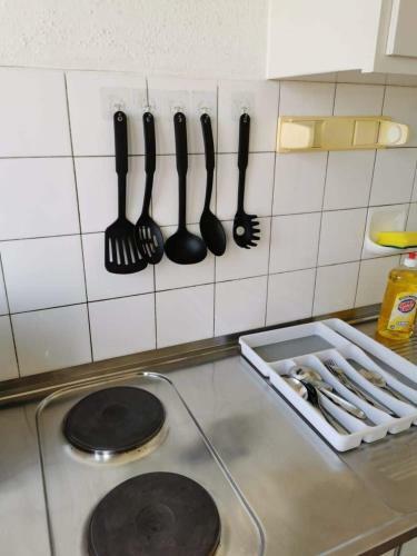 All The Apartment In Basel Up To 7 People