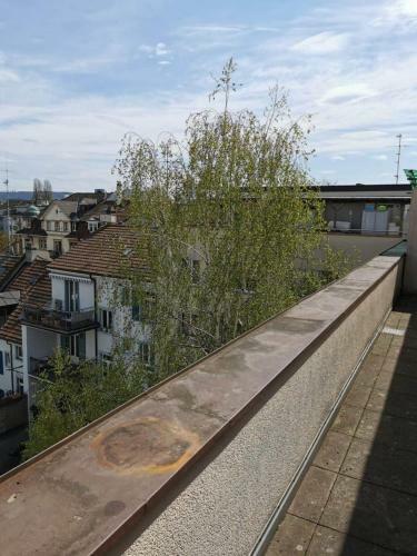 All The Apartment In Basel Up To 7 People