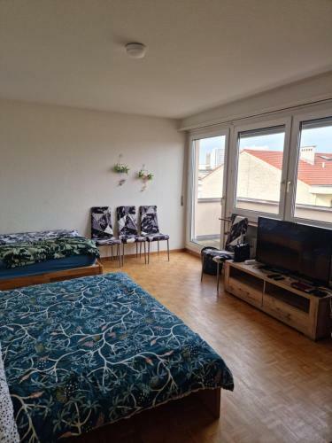 All The Apartment In Basel Up To 7 People
