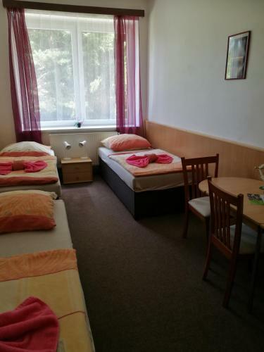 Hotel U Pralesa