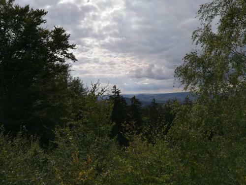 Apartamento Novohradsk� Hory - Pron�jem Na Samot? U Lesa