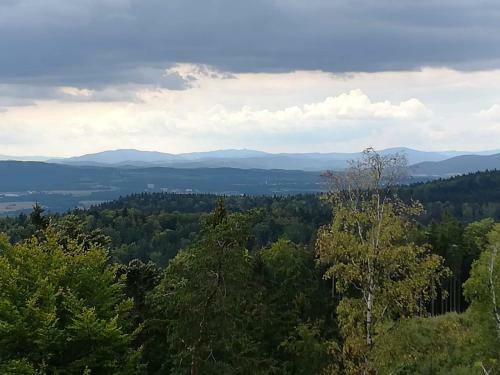 Apartamento Novohradsk� Hory - Pron�jem Na Samot? U Lesa