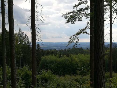 Apartamento Novohradsk� Hory - Pron�jem Na Samot? U Lesa