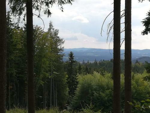 Apartamento Novohradsk� Hory - Pron�jem Na Samot? U Lesa