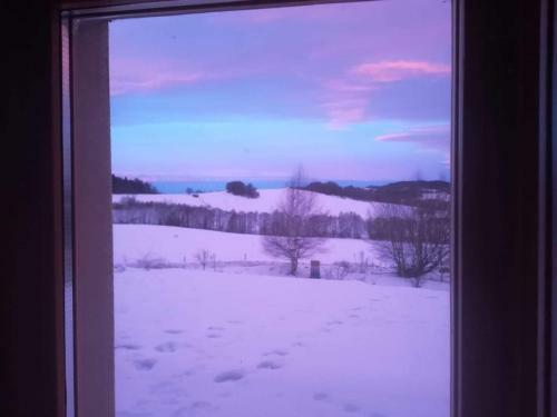 Apartamento Novohradsk� Hory - Pron�jem Na Samot? U Lesa