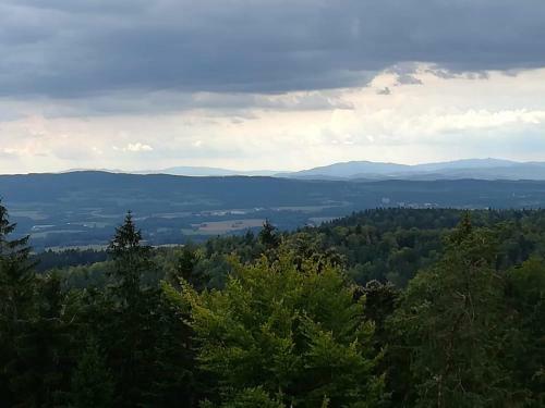 Apartamento Novohradsk� Hory - Pron�jem Na Samot? U Lesa