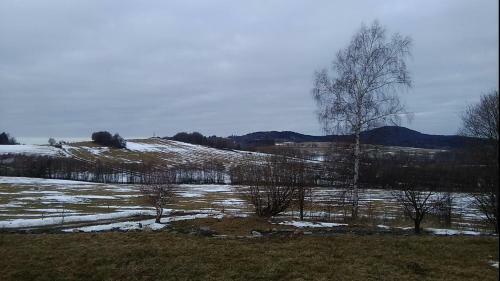 Apartamento Novohradsk� Hory - Pron�jem Na Samot? U Lesa