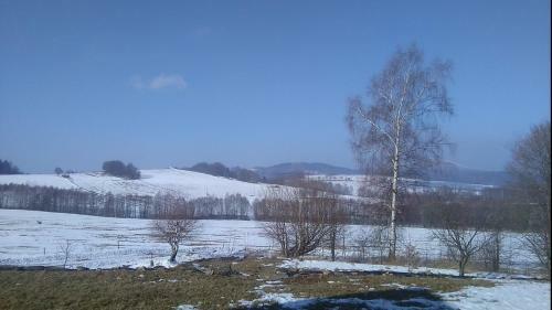 Apartamento Novohradsk� Hory - Pron�jem Na Samot? U Lesa