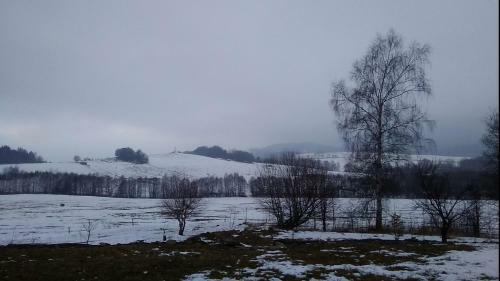 Apartamento Novohradsk� Hory - Pron�jem Na Samot? U Lesa