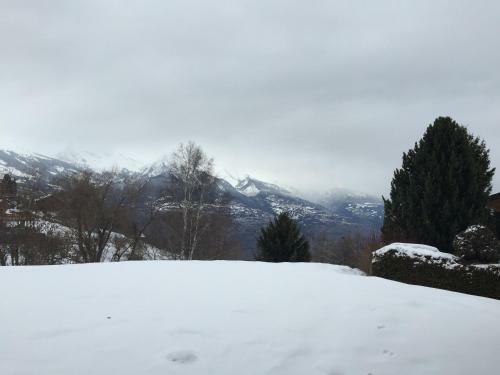 Chalet Pattier