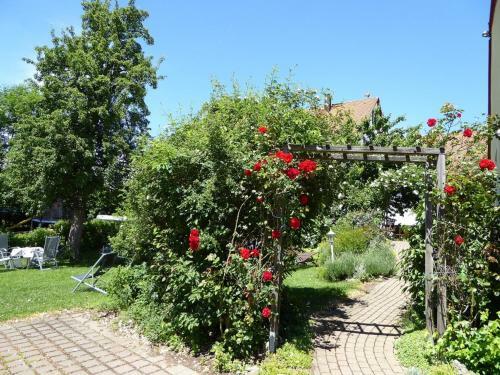 Hostal Pension Roseng�rtchen