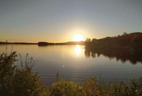 Hostal Pension Roseng�rtchen
