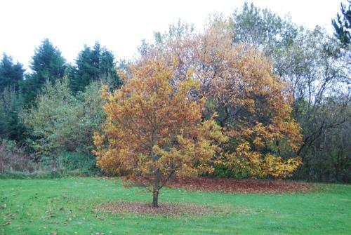 G�te "la Fermette" B�rismenil