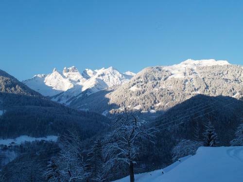 Apartamento Haus Gr�ner Wald