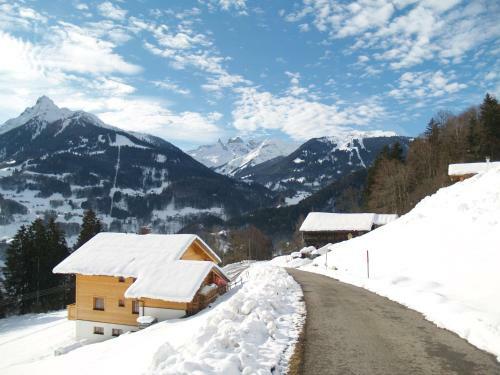 Apartamento Haus Gr�ner Wald