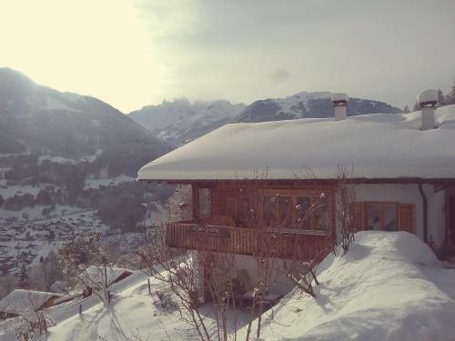 Apartamento Haus Netzer