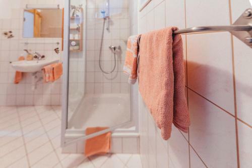 Apartamento Haus Netzer