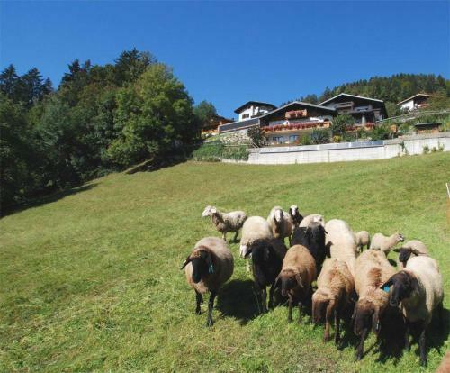 Apartamento Haus Marent