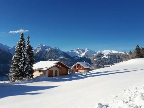 Panorama Chalet Montafon
