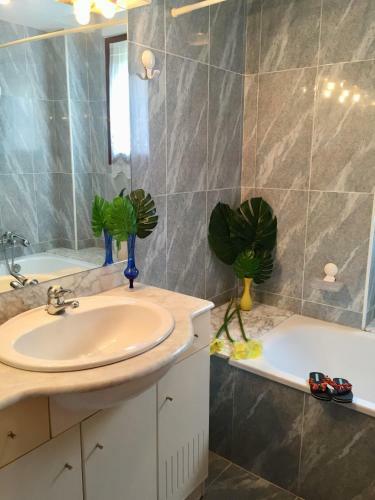 Apartamento Edificio Davince