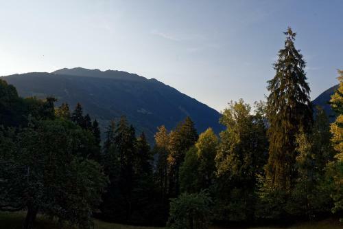 Apartamento Landhaus Tenne