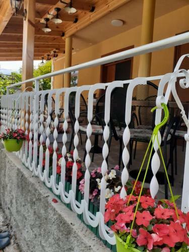 Hostal Joan Guesthouse