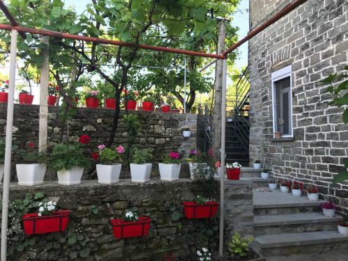 Hostal The Mosaic House - Shtepia Me Mozaik