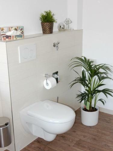 Apartamento Business-apartment Braun