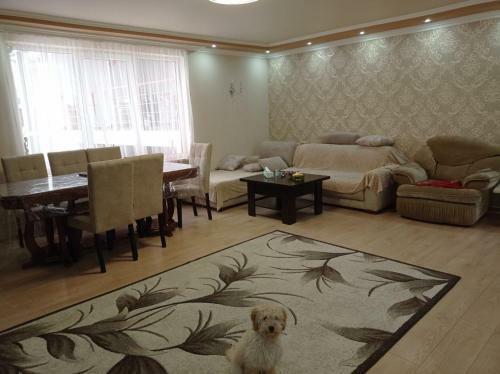 Best Villa