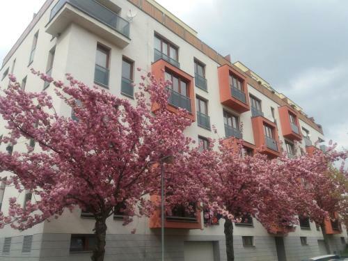 Apartments Egara
