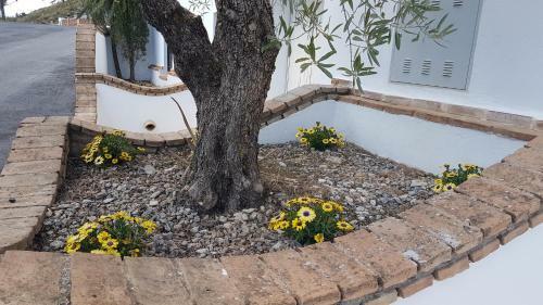 Casa Cueva Sol