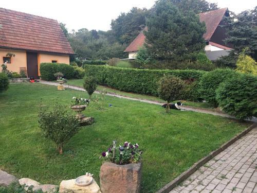 Apartamento Penzion Slunovrat