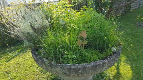 Herzh�usle Im Wutachtal