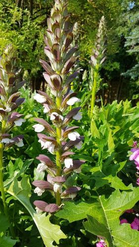 Herzh�usle Im Wutachtal