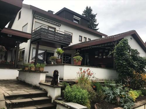 Apartamentos Ferienwohnung Kiwi