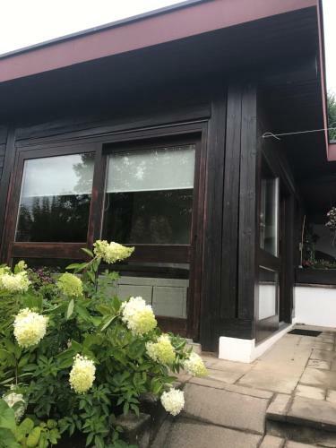Apartamentos Ferienwohnung Kiwi