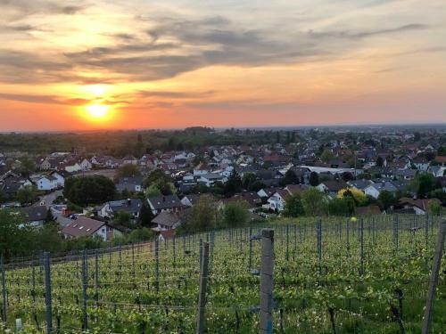 Hostal Linde Oberachern