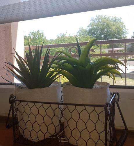 Apartamento Magnolija