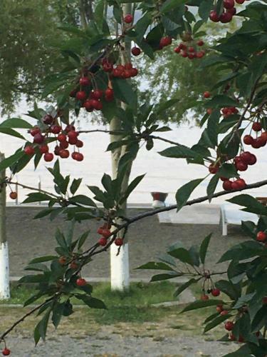 Hotel Edem Sevan