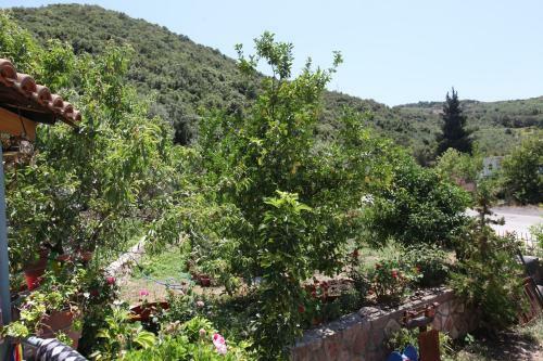 Hotel Moliana