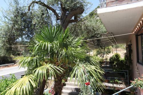 Hotel Moliana