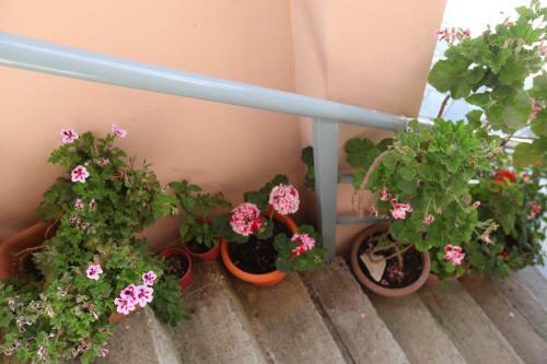 Hotel Moliana