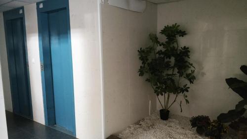 Apartamento Torre Hirta 1
