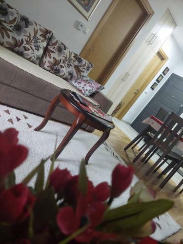 Apartamento Stan Na Dan