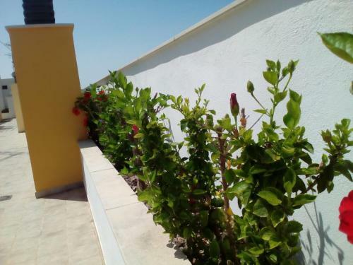 Apartamento Casa Polly