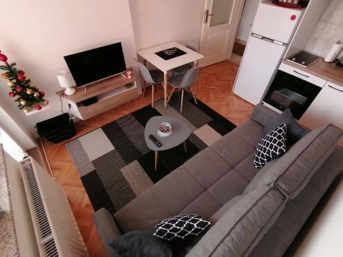 Apartment Igor