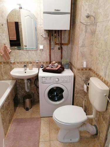 Apartment Igor