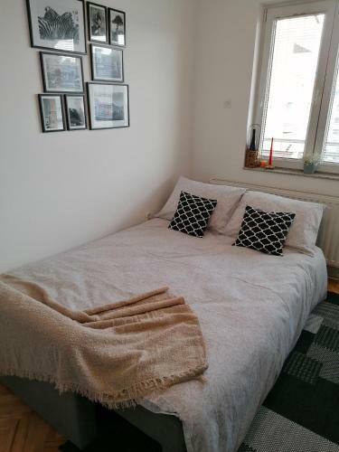 Apartment Igor