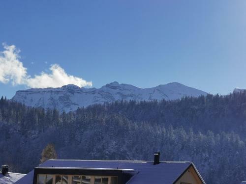 Apartment Drei M�hlsteine